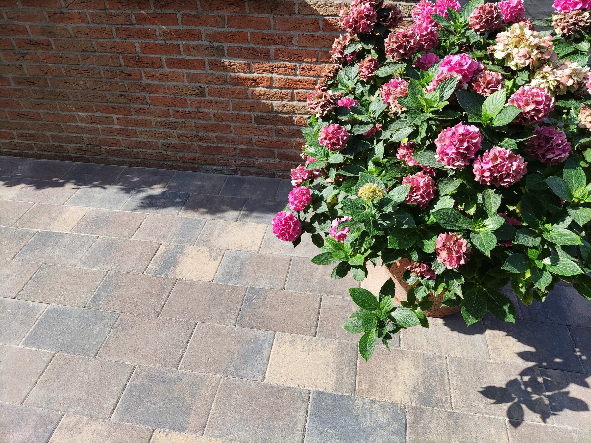 Straksteen 20x30x6 cm chelsea