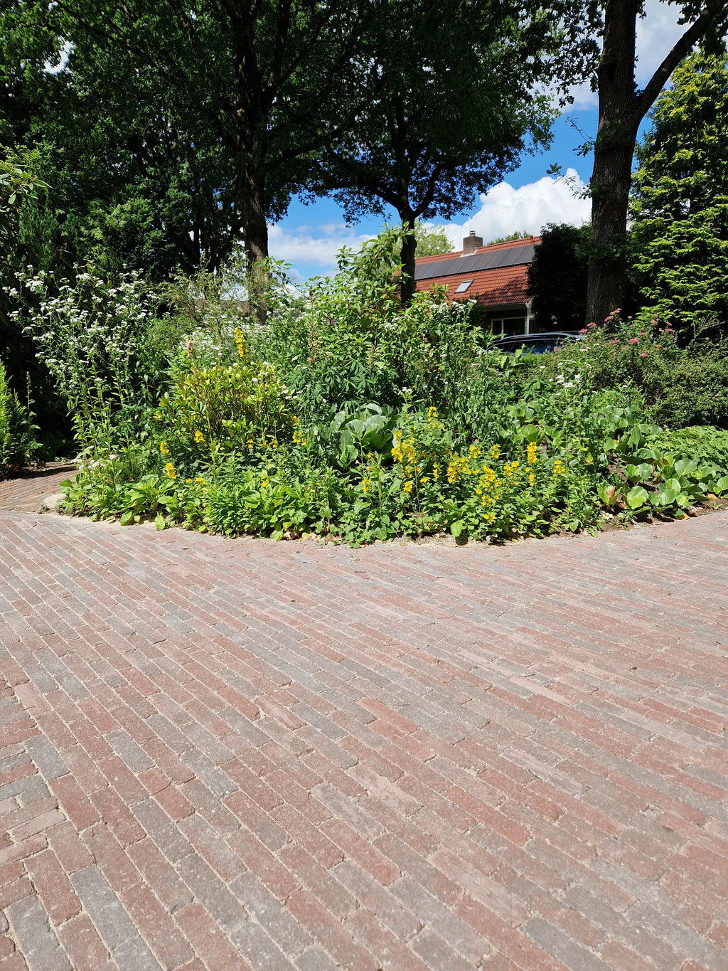 Stonique trommel waalformaat 7 cm groningerbruin