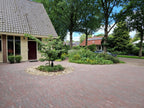 Stonique trommel waalformaat 7 cm groningerbruin