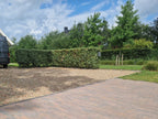Stonique trommel waalformaat 7 cm oud bussum