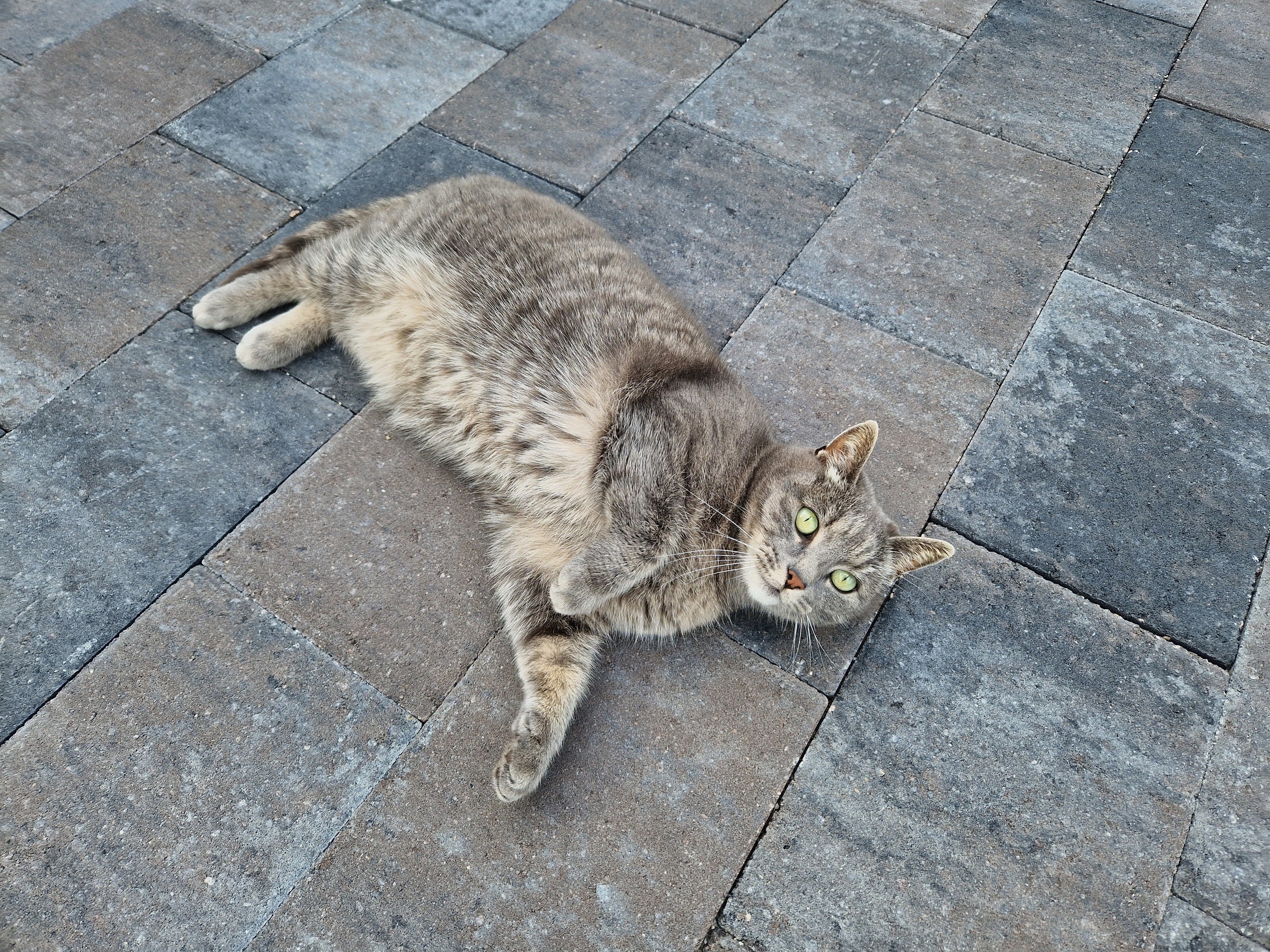 Straksteen 20x30x6 cm oud drachten